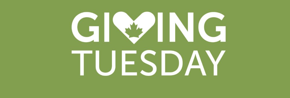 fvmba's tweet photo. Post storm updates, how you can help this #GivingTuesday, wildlife updates, and more... - https://t.co/KdKxQ1jUAE https://t.co/JgpSBVcw0E