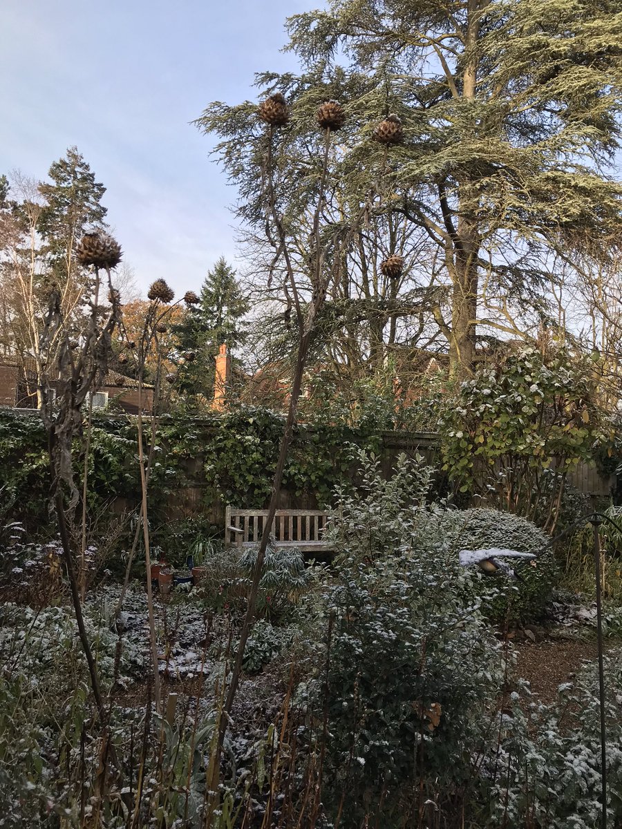 Rectory_Garden's tweet photo. Snowy start to the day in the Rectory Garden -a real treat to be here on a Monday morning  #wintergarden #snowday #wrappedupwarm https://t.co/su2kw4eSGv