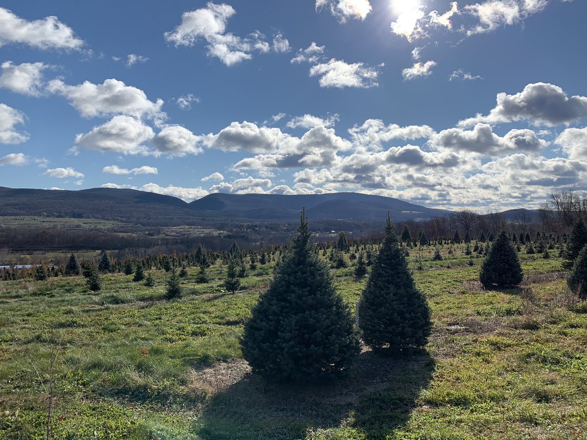 Michael Baird tweet media