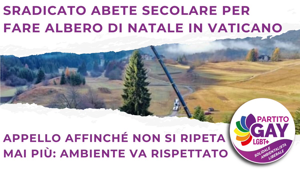 MarrazzoFab's tweet photo. Facciamo appello affinché non si ripeta mai più che un #abeterosso venga sradicato per fare #alberodiNatale in #Vaticano. Si trovino soluzioni alternative per rispettare ambiente
Diventa attivista 👉 https://t.co/7na9FM6R3y 👈
#ChiSeNonNoi #partitogay #ambientalista https://t.co/kp15I5yr44