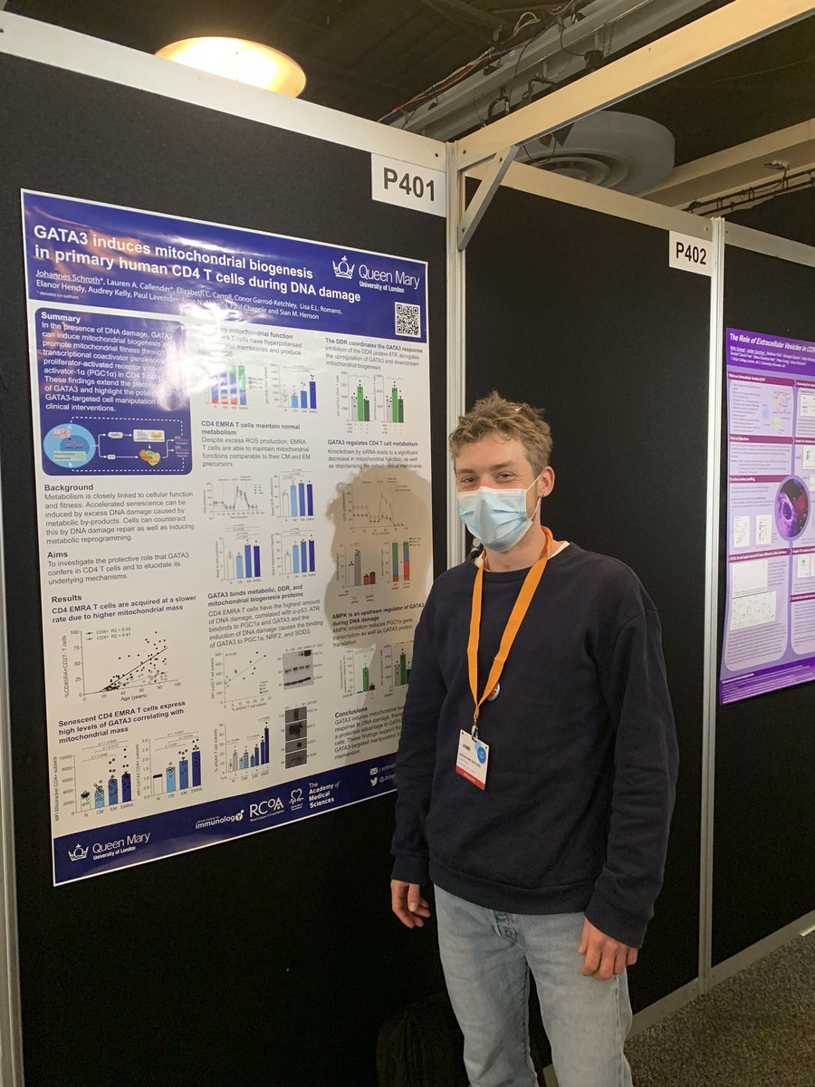 Interested in immunometabolism? Why not stop by poster P401 and <a href="/JohannesSchroth/">Johannes</a> can tell you about the groups work #BSI21