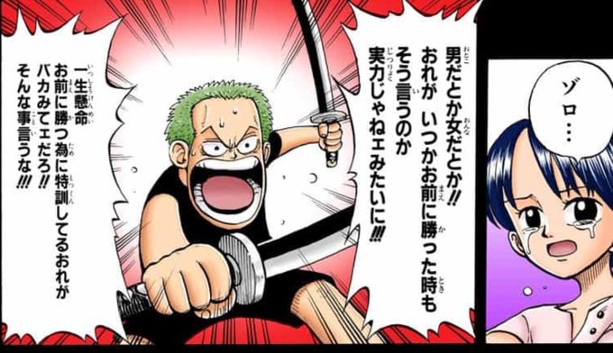 ワンピース くいなとゾロは幼馴染 正体や生存している可能性を考察 2ページ目 Selvy