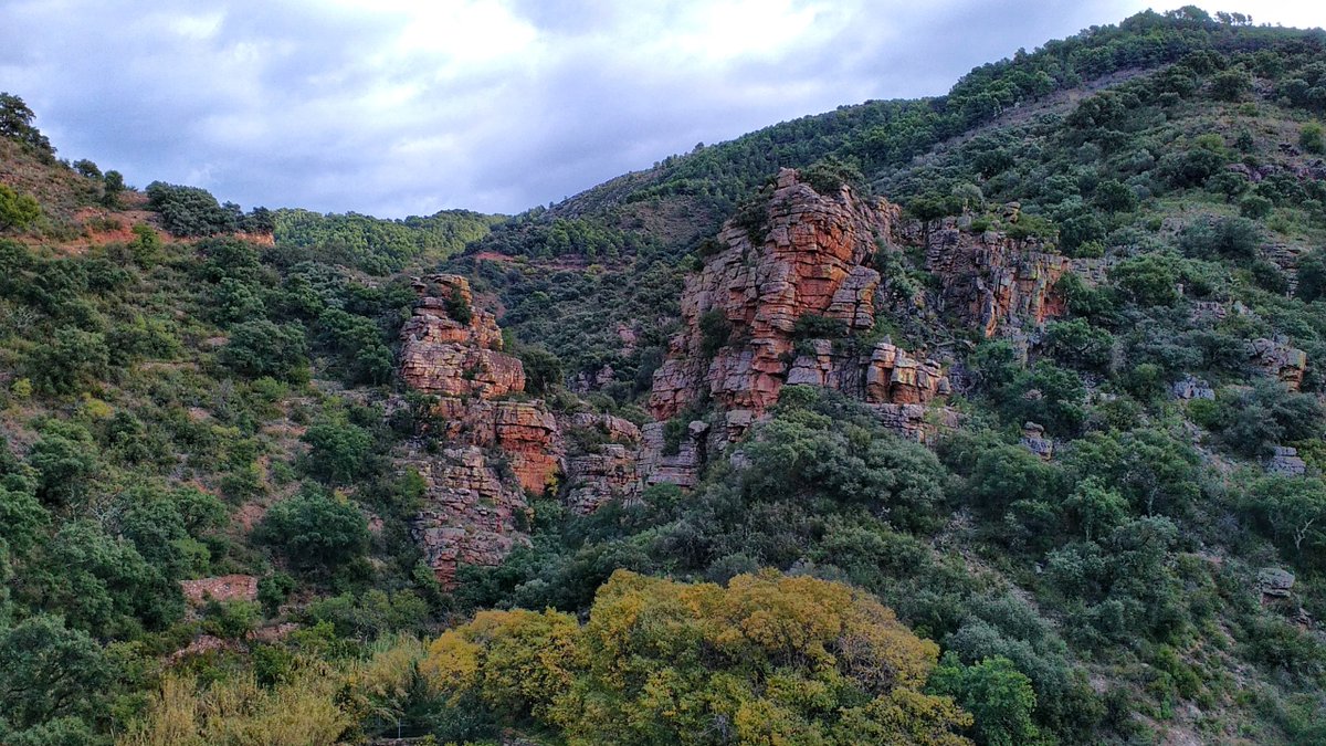 Javier_Uxo's tweet image. Farallones del estrecho del Arquet de la Rambla.

🌳 Parque Natural Sierra de Espadán.

💚 @GVAparcs #PNSerraEspadà
#SierradeEspadán #SerraEspadà
#Alfondeguilla