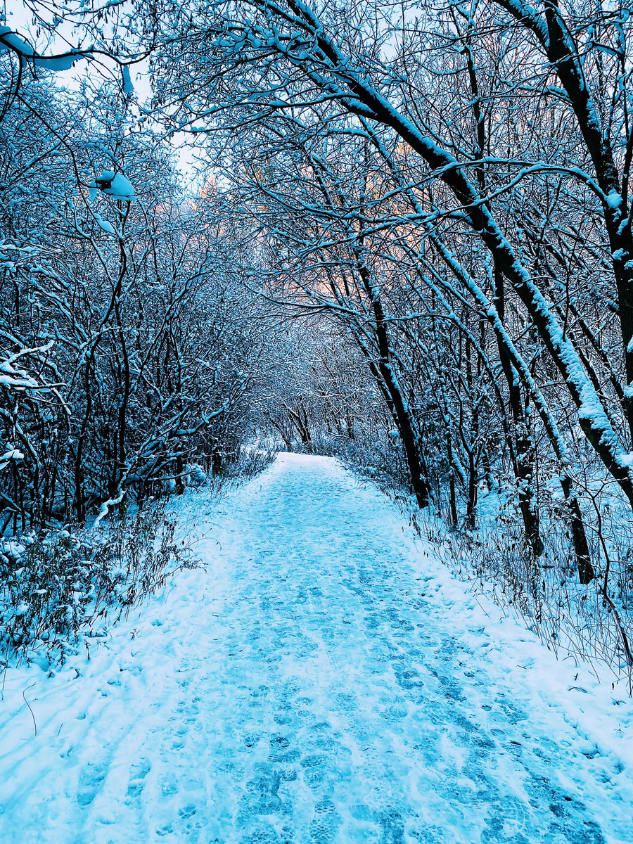 paulburns's tweet photo. Amazing snow-plastered run along the the river this morning. ❄️✨🙏 https://t.co/mbYMVaUUT9