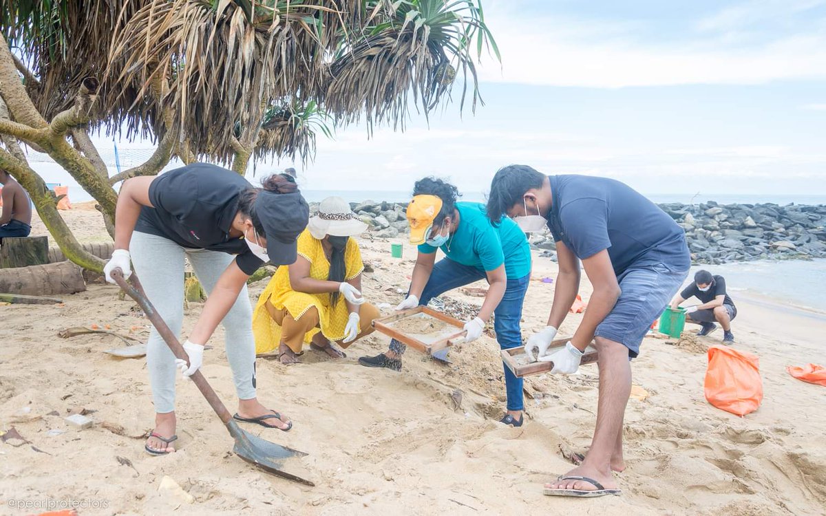 PearlProtectors's tweet photo. Images from the Nurdle Cleanup held in Moratuwella with the staff of MAS Kreeda - 28.11.21
15 staff members volunteered their time to collect 4kg of nurdles & 25kg of PET
MAS Kreeda is a Support Patron of the Nurdle Free Lanka campaign
#nurdlefreelanka #maskreeda #mvxpresspearl https://t.co/0mwYU1vnqW