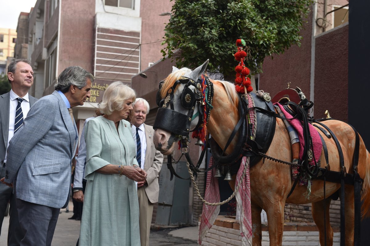 TheBrooke's tweet photo. We're delighted to announce that The Duchess of Cornwall has extended her Presidency of Brooke https://t.co/7dAq8dyk3n https://t.co/IC1G7rTqX2