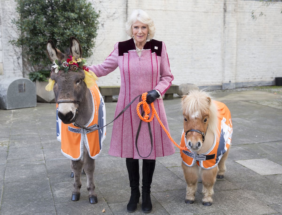 TheBrooke's tweet photo. We're delighted to announce that The Duchess of Cornwall has extended her Presidency of Brooke https://t.co/7dAq8dyk3n https://t.co/IC1G7rTqX2