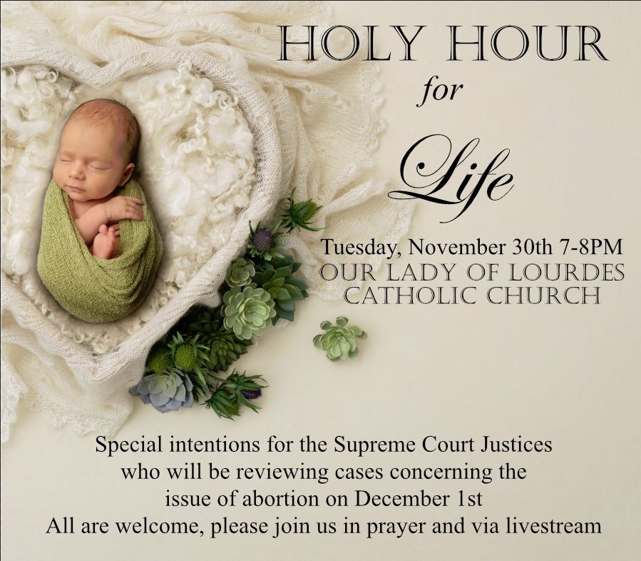 Diocese of Raleigh tweet media