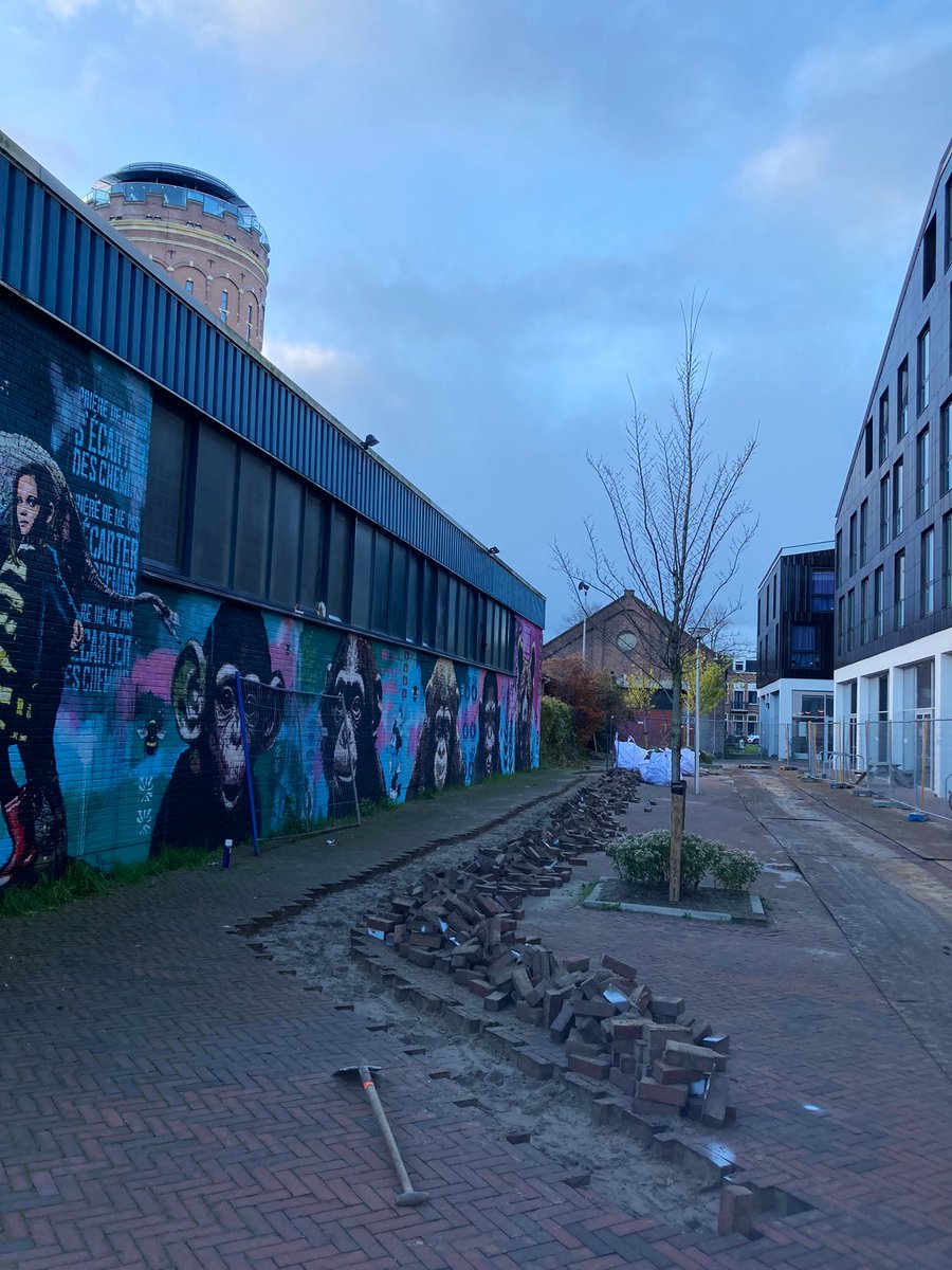 Weer een stap in de goeie richting: Rotsoord wordt groener!Worden nu door de gemeente plantvakken gemaakt op Ravenoord, een van de meest versteende stukken van het gebied. 🌳🌱🌻🌸🍄🍁