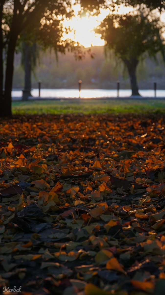 EthanChenYC's tweet image. Isolation #suzhou #soochow #travel #travelphotography #SonyAlpha #AutumnFalls