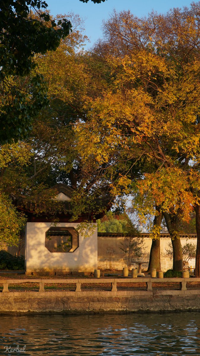 EthanChenYC's tweet image. Isolation #suzhou #soochow #travel #travelphotography #SonyAlpha #AutumnFalls