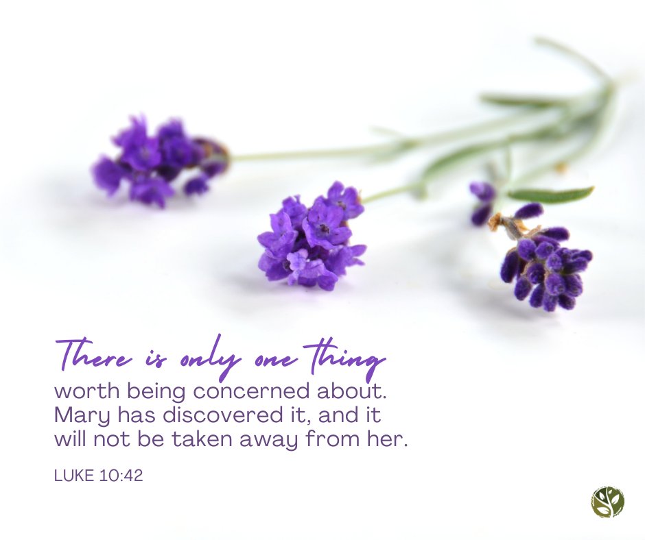 TeamTrueVine's tweet photo. "There is only one thing worth being concerned about. Mary has discovered it, and it will not be taken away from her.”
- Luke 10:42 NLT

#VOTW #verseoftheweek #teamtruevine https://t.co/ytI4uC32gy
