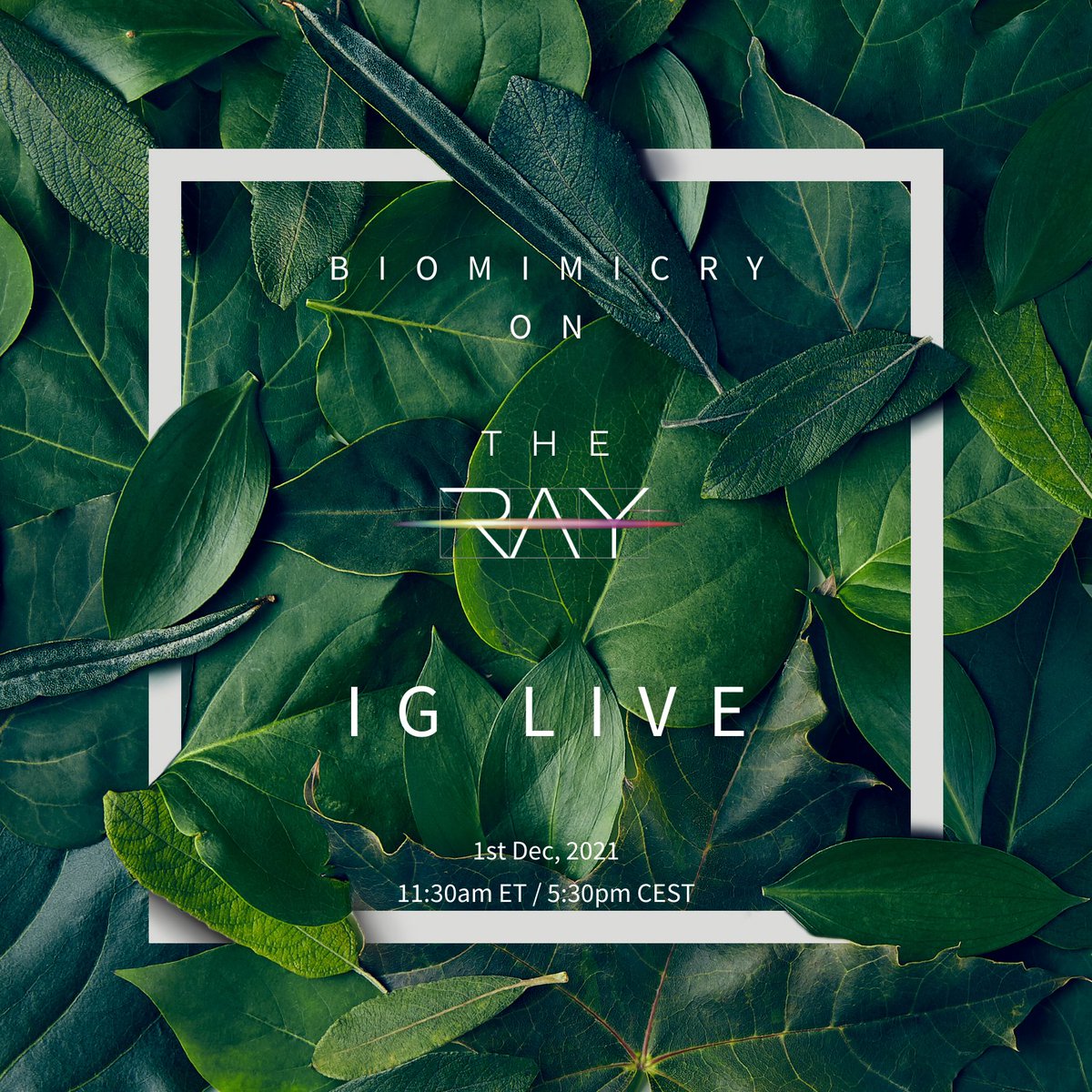 TheRayHighway's tweet photo. Please join The Ray for a Biomimicry IG LIVE this Wednesday at 11:30 am ET!

@MeredithStinson will talk with McCall Langford and Asha Singhal from our biomimicry team to discuss how we can utilize nature-inspired design for transportation. Tune in at https://t.co/2WHhC9X8uz! https://t.co/O9xc6gfRiG