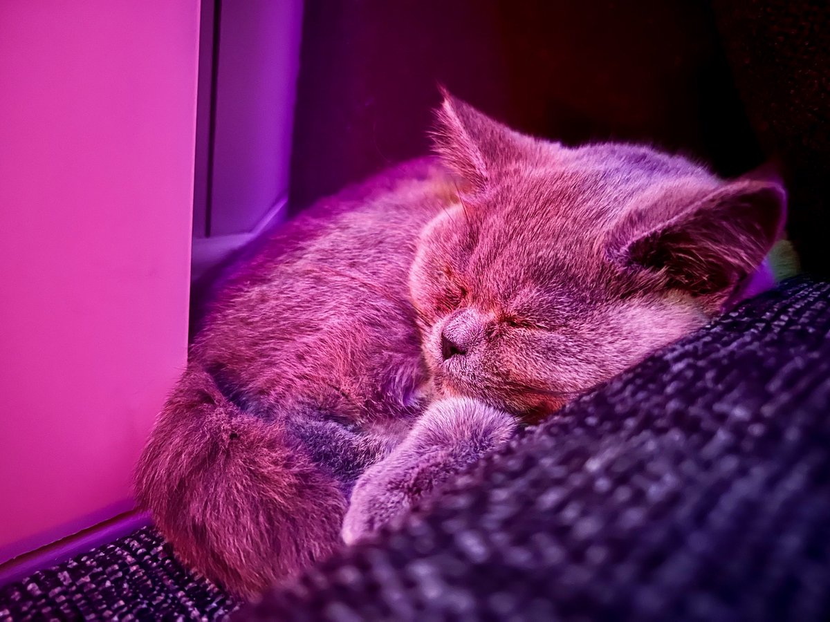 Cult Pens tweet media