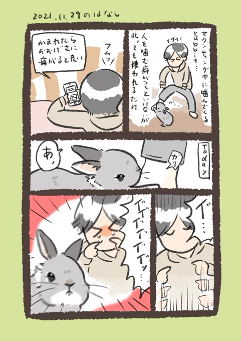 今日のrabbit…
#うさぎのいる生活 