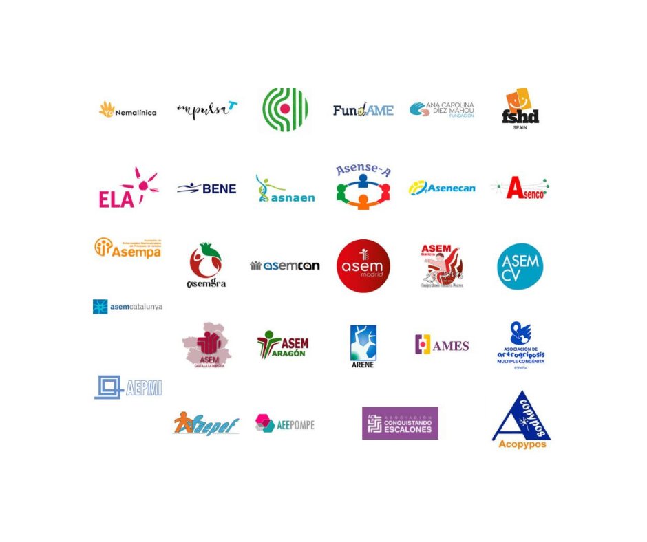 Federacion_ASEM's tweet photo. 🗣️ Desde @Federacion_ASEM manifestamos que se reconozca la #RedASEMcomo parte fundamental de la estructura social, generadores de espacios donde compartir, apoyarse y buscar el bienestar de las personas y familias que conviven con enfermedades neuromusculares.
#Capaces15N 💚 https://t.co/X4P6z5Al6n