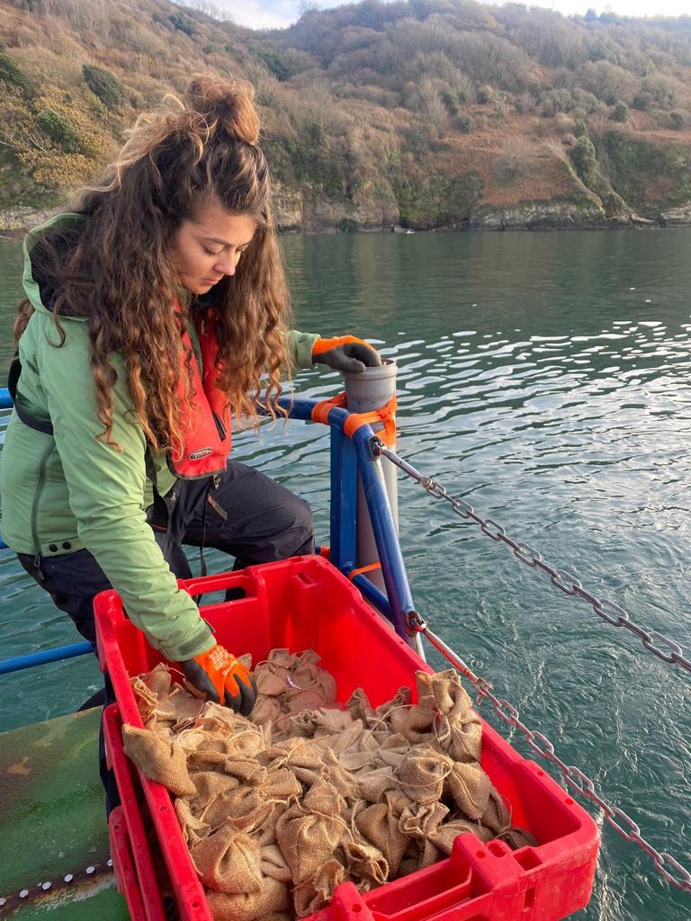 EULIFERemedies's tweet photo. Those seagrass seed bags from our volunteer packing sessions are now being sent down to Plymouth Sound seabed to grow 🌱.

@OceanCTrust @NaturalEngland @plymouthcc @RYA @mcsuk @TheGreenBlue @LIFEprogramme 🙏

#SaveOurSeabed https://t.co/lDVEqKxeZ1