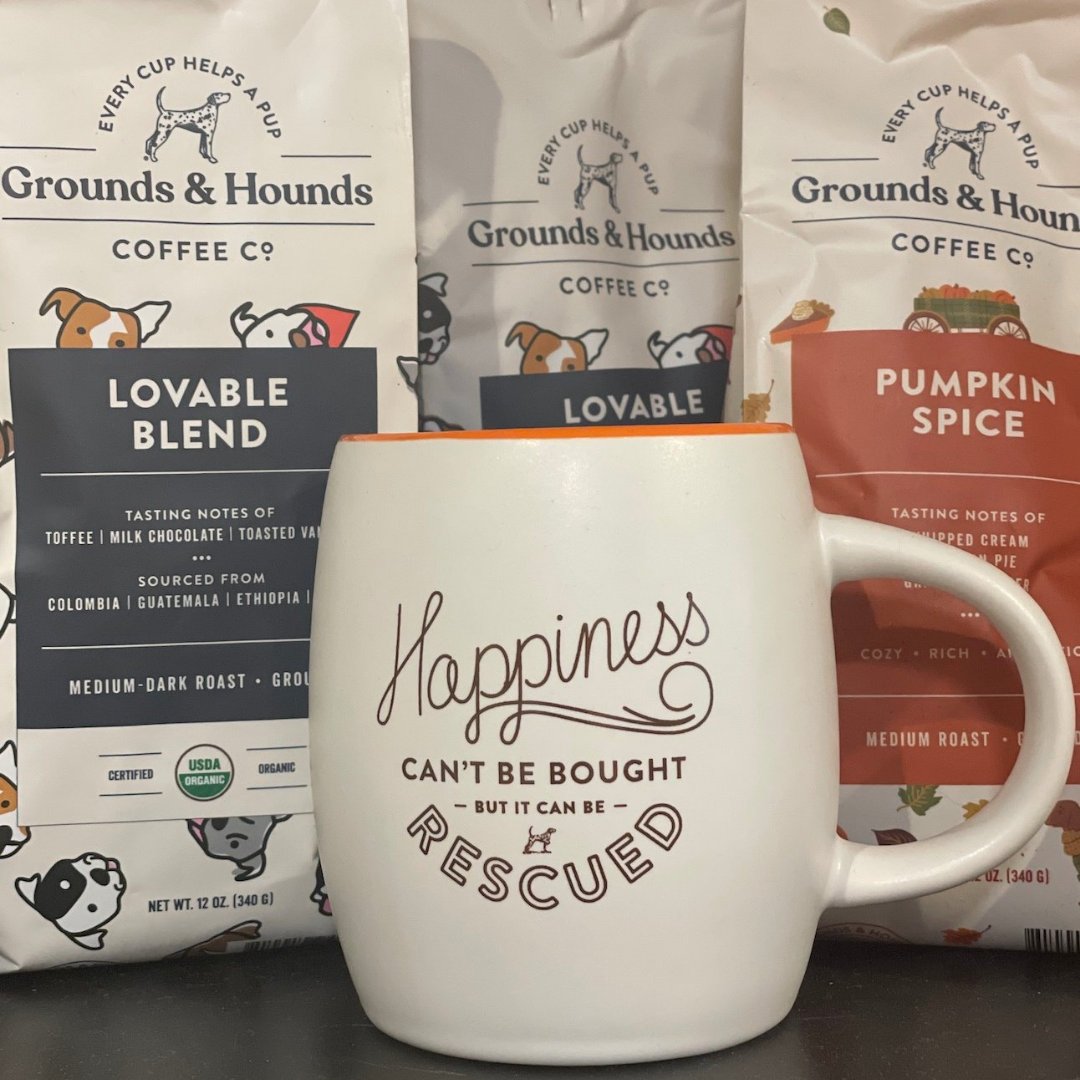 gsochamber's tweet photo. Happy Pawlidays! Let the pawesome people over at All Pets Considered make this a memorable and decorative Pawliday season! Check out our full post at https://t.co/s4FBc1OrVb for details on each of these delightful gifts. #holidayhighlightsgso #looklocalfirst https://t.co/MSJ3INCP5V