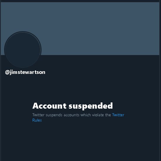 HempressZen's tweet photo. See how @TwitterSafety is wack?! All the hard work &amp; investigating of @jimstewartson to get the truth out abt Mike Flynn &amp; he gets the reward of being suspended. But hey it's of no concern to the 'radical left' as long as twitter keeps trump off twitter..right? #FakeResisters https://t.co/oSvQSoMPl7