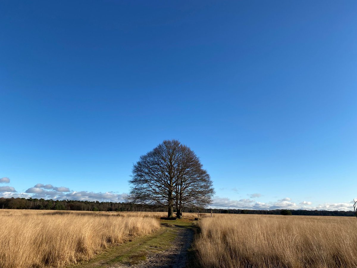 GroenLinks Brabant tweet media