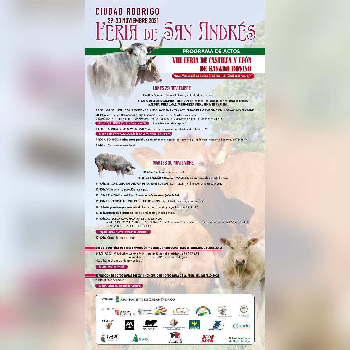 AecraniN's tweet photo. Puedes venir a visitarnos en la feria de San Andrés de #CiudadRodrigo , tenemos una exposición de animales y os dejamos el cartel de actividades que tienen preparadas. Te esperamos 😉 
#Avileña #100x100nuestro #ElCampoNoPara #razaautoctona #coumtryside #agricultura #ganadería https://t.co/grcbMlKlvZ