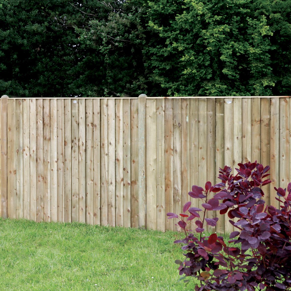 Forward Builders'​ Supplies Ltd tweet media