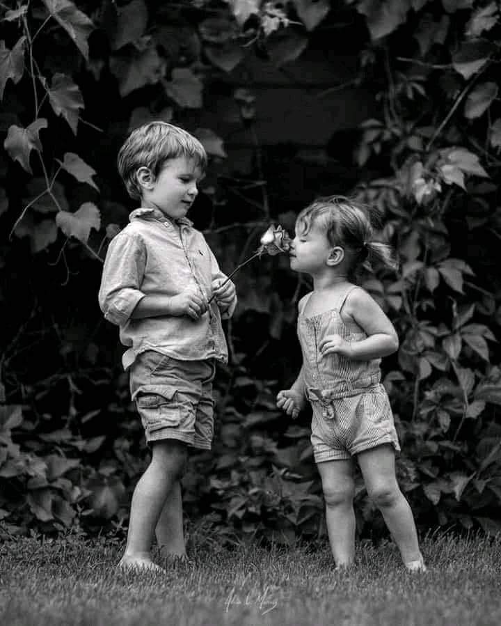 a_ali_pp's tweet image. لا للقبيلة ولا الجنود أو الحشود سيمنعوني من أن أعشقك أو أحبك فمتى كان العشق عار #مساء_الخيرᅠ