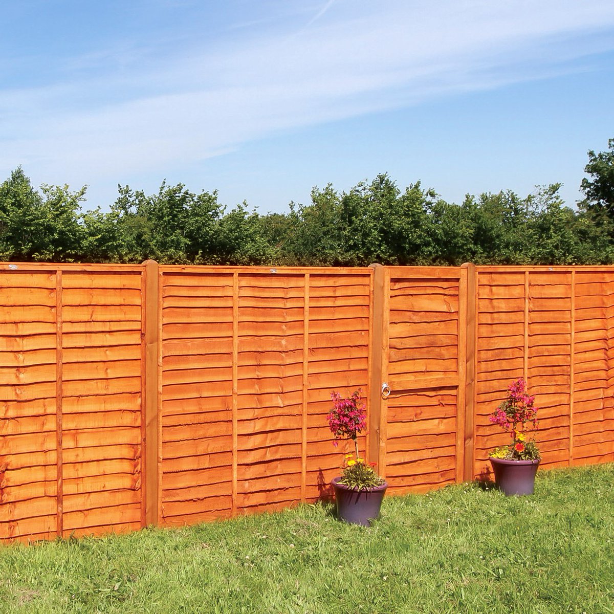 Forward Builders'​ Supplies Ltd tweet media