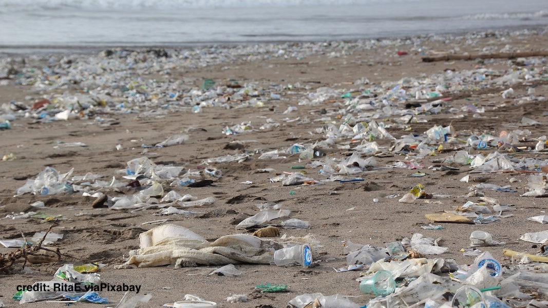 Environment Ohio tweet media
