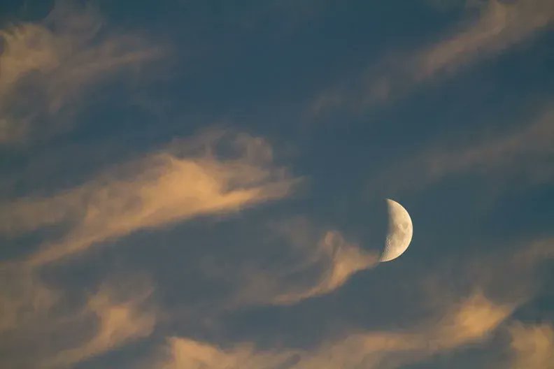 muz4now's tweet photo. Moon Morning Run – an #improv #poem https://t.co/weYyG6OitC [rewind]
 #exformation #inspiration #nature #presentmoment https://t.co/MpBfXRGnmM