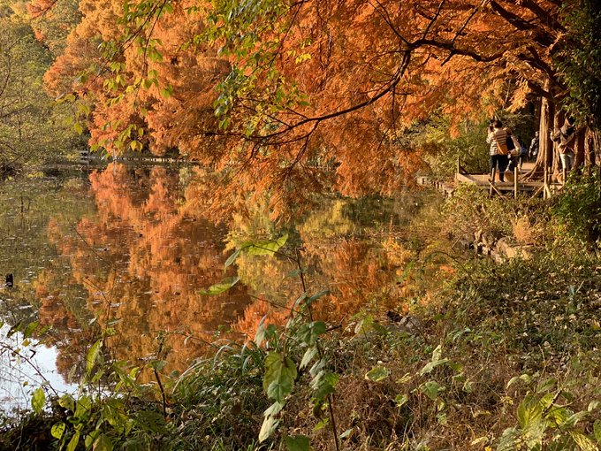 しゃくじい公園というよ。 