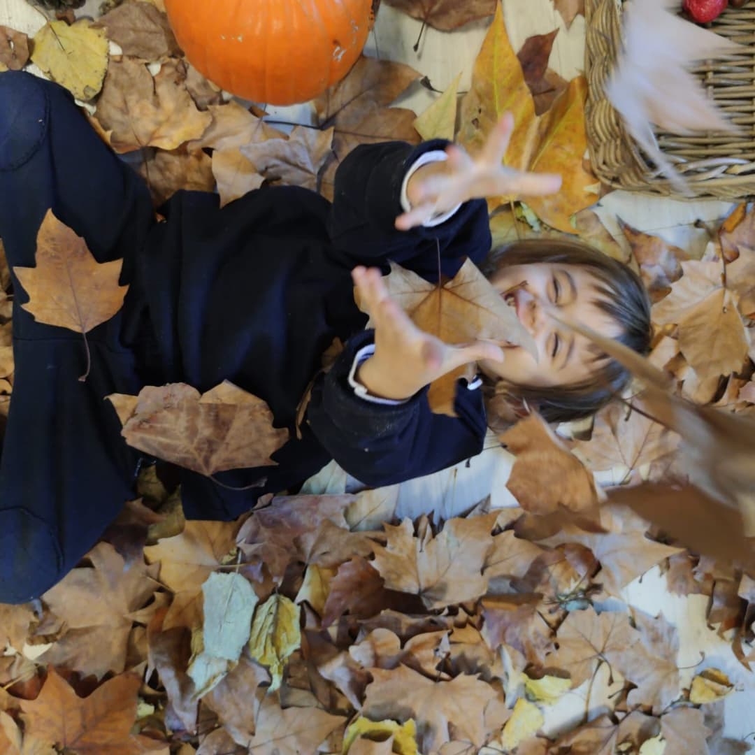 Highlands Barcelona tweet media