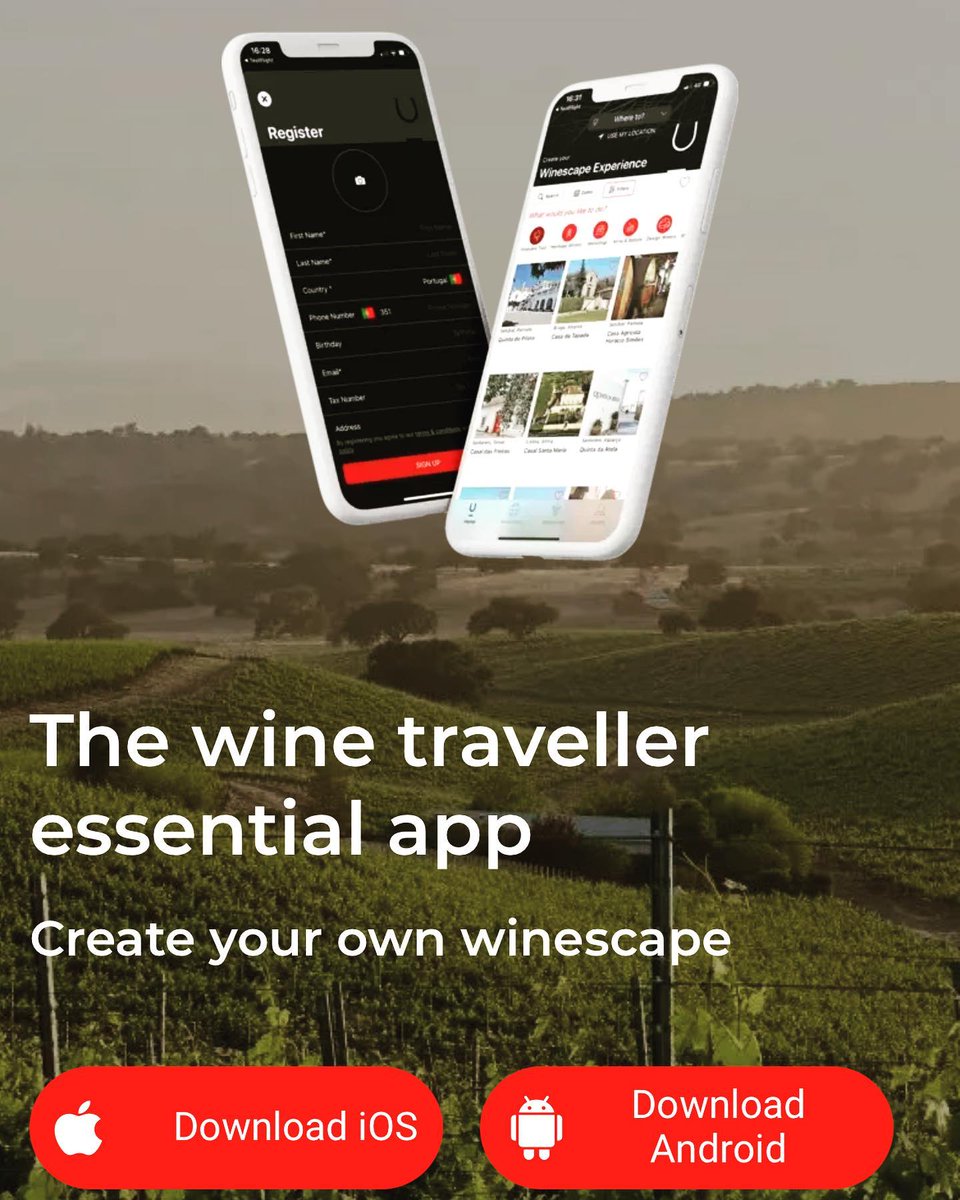 wine_alle's tweet photo. A highly specialized App that suggests, books, manages and guides your entire wine experience. Simple, convenient and memorable.
iOS | Android 

#winetour #winetourism #winetours #winetourist #winetouring #winelover #winescape https://t.co/B1e0y8iFLG