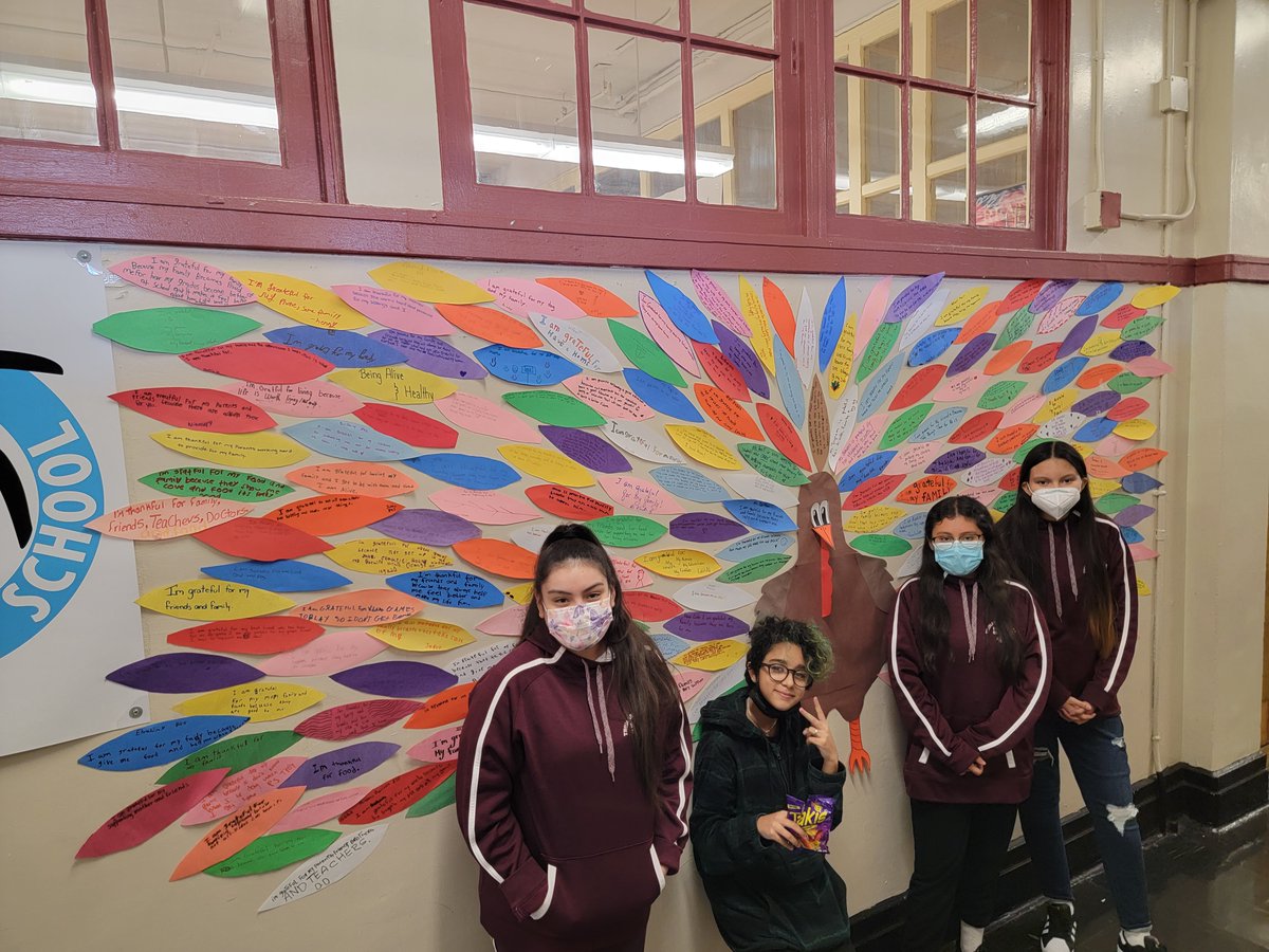 awesomems45bro2's tweet image. Grateful, thankful turkeys!!
@CSD10Bronx @DOEChancellor