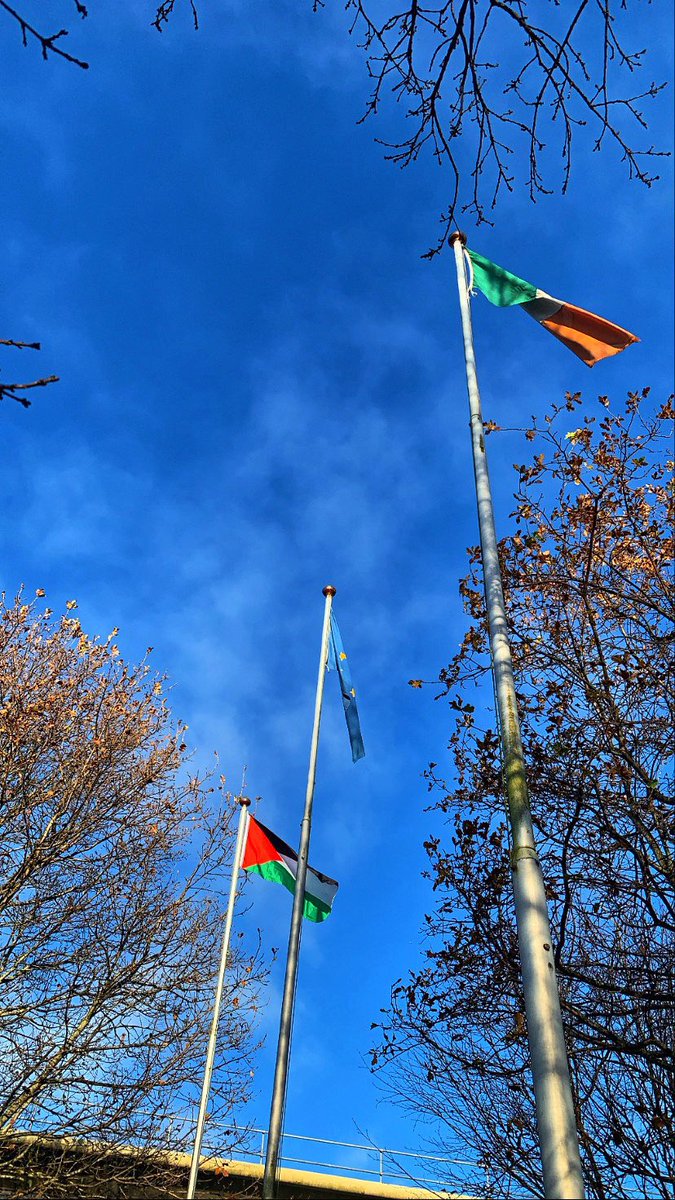 sahouraxo's tweet photo. Palestinian flag flying over Galway City Hall, Ireland 🇮🇪 🇵🇸 https://t.co/wIQgxAB6Rz