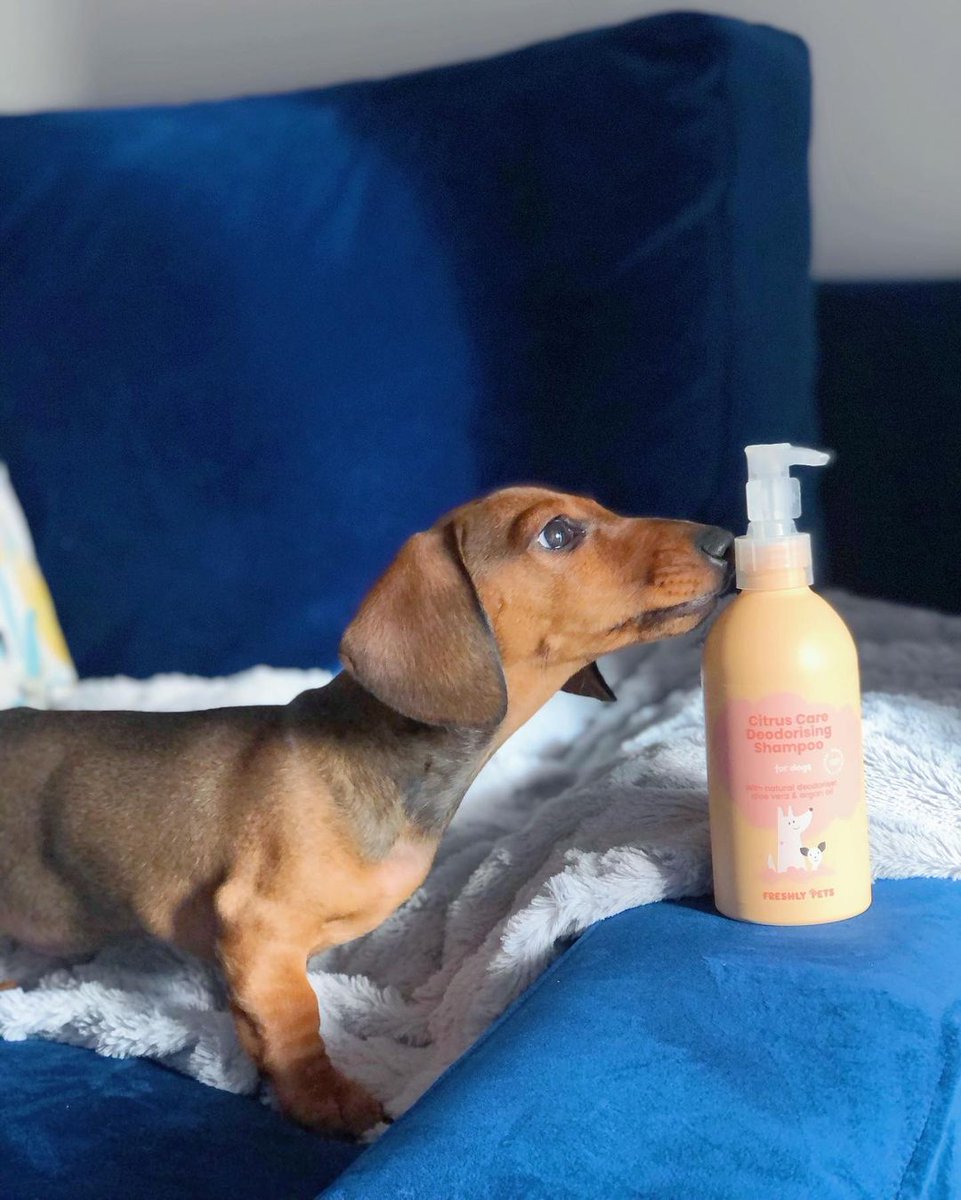 Nos morimos de amor 😍#unboxing #cosmeticanatural #loveanimals