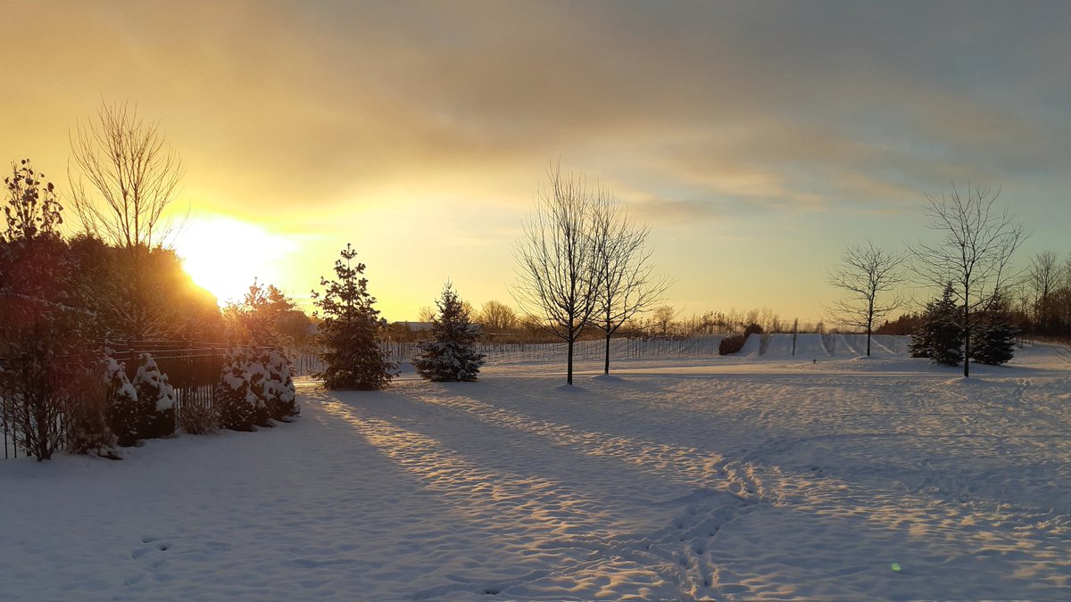 Dean Maahs tweet media