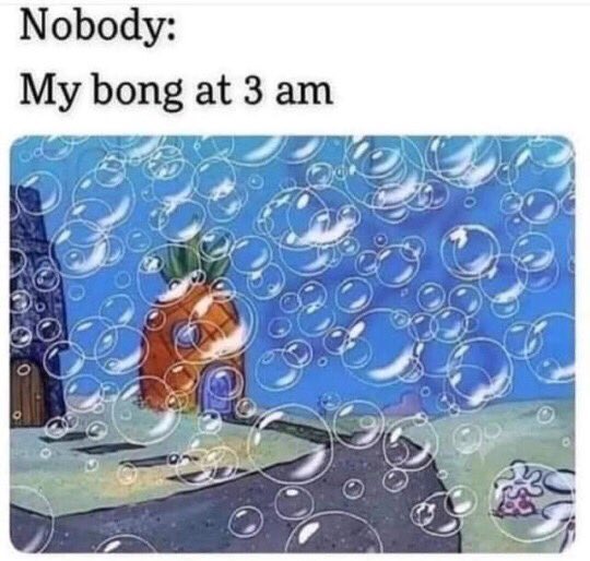 GetYoursStoreVT's tweet photo. If you hear bubbles either join me or go back to bed!
#getyours #getyoursjohnson #adultmeme #stonermeme #weedmeme #cannabismeme #shoplocal #johnsonvt #bongrips #wakeandbake https://t.co/vrTVWTrxGU