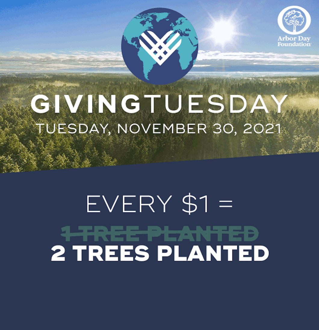 arborday's tweet photo. TOMORROW is the world’s biggest day of generosity, #GivingTuesday. And for this GivingTuesday ONLY, you can DOUBLE your impact. Every $1 = 2 trees planted. 

Give back by visiting: https://t.co/Az477EyjEH https://t.co/1bwaVMu4M4