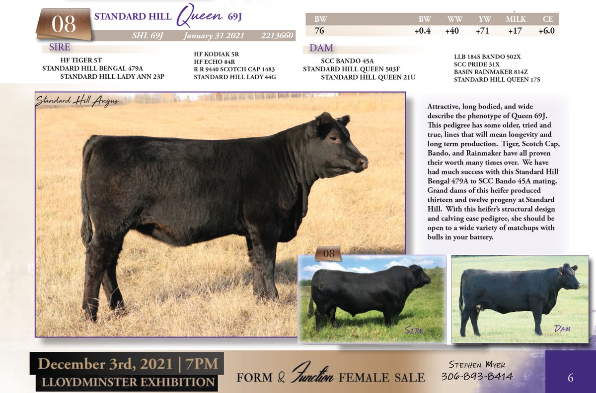 Standard Hill-SMyer tweet media