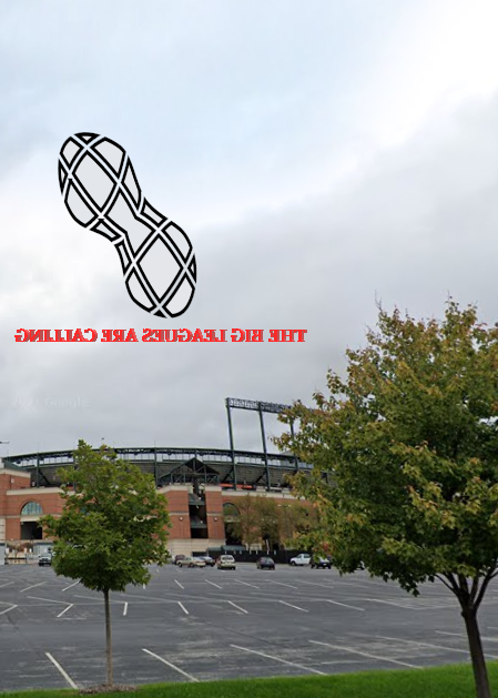 WHAT IS THI S HORSESHIT