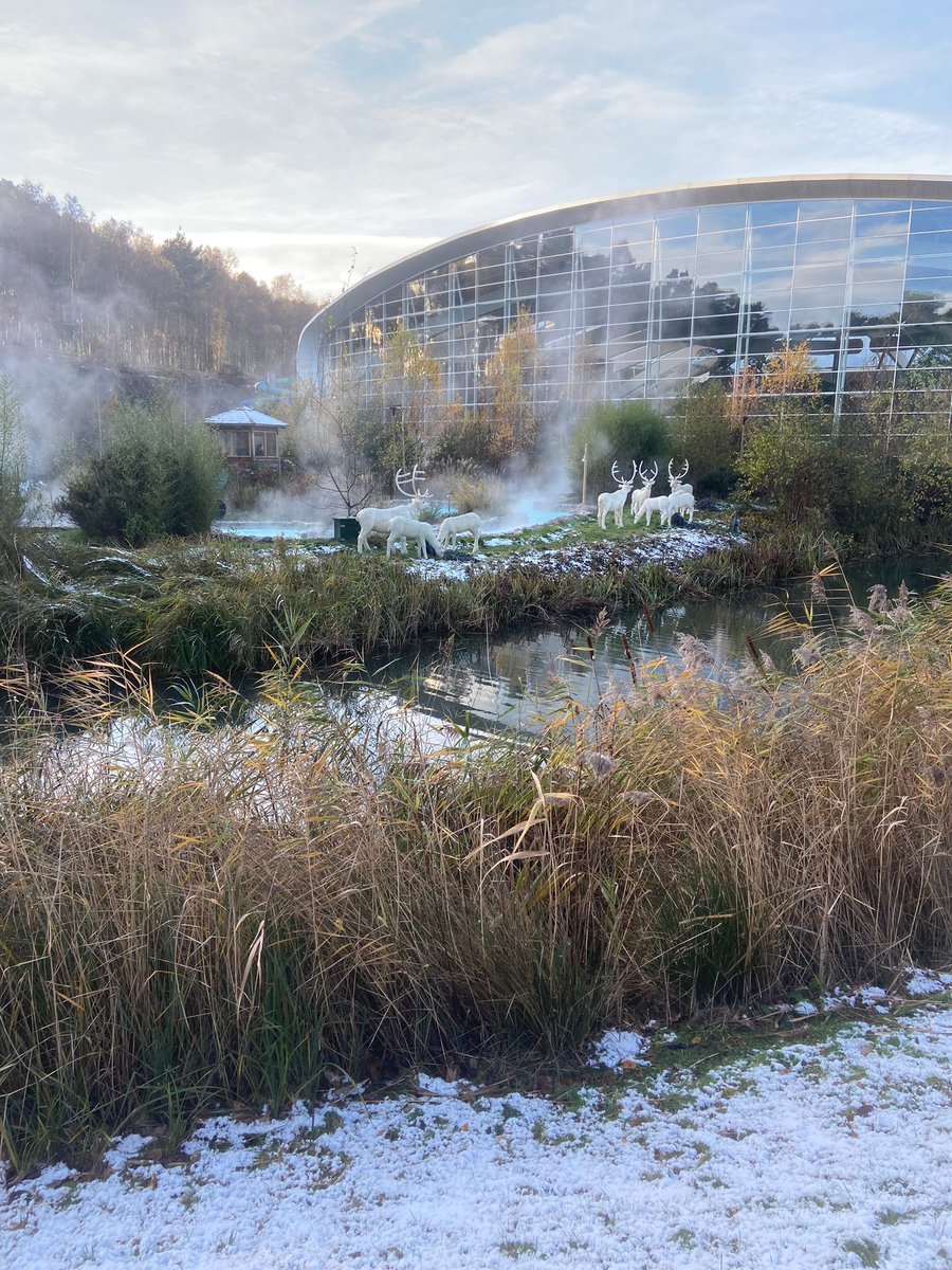 hanriach's tweet photo. @CP_UK_Woburn We are here and we’ve loved seeing the forest covered in snow 😍❄️🎄 #MyCP https://t.co/j6pwEoaIFB