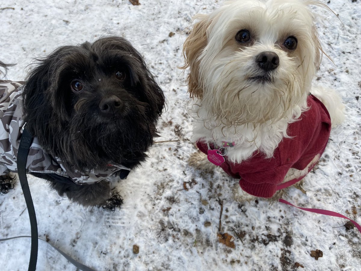 Helen Clarke tweet media