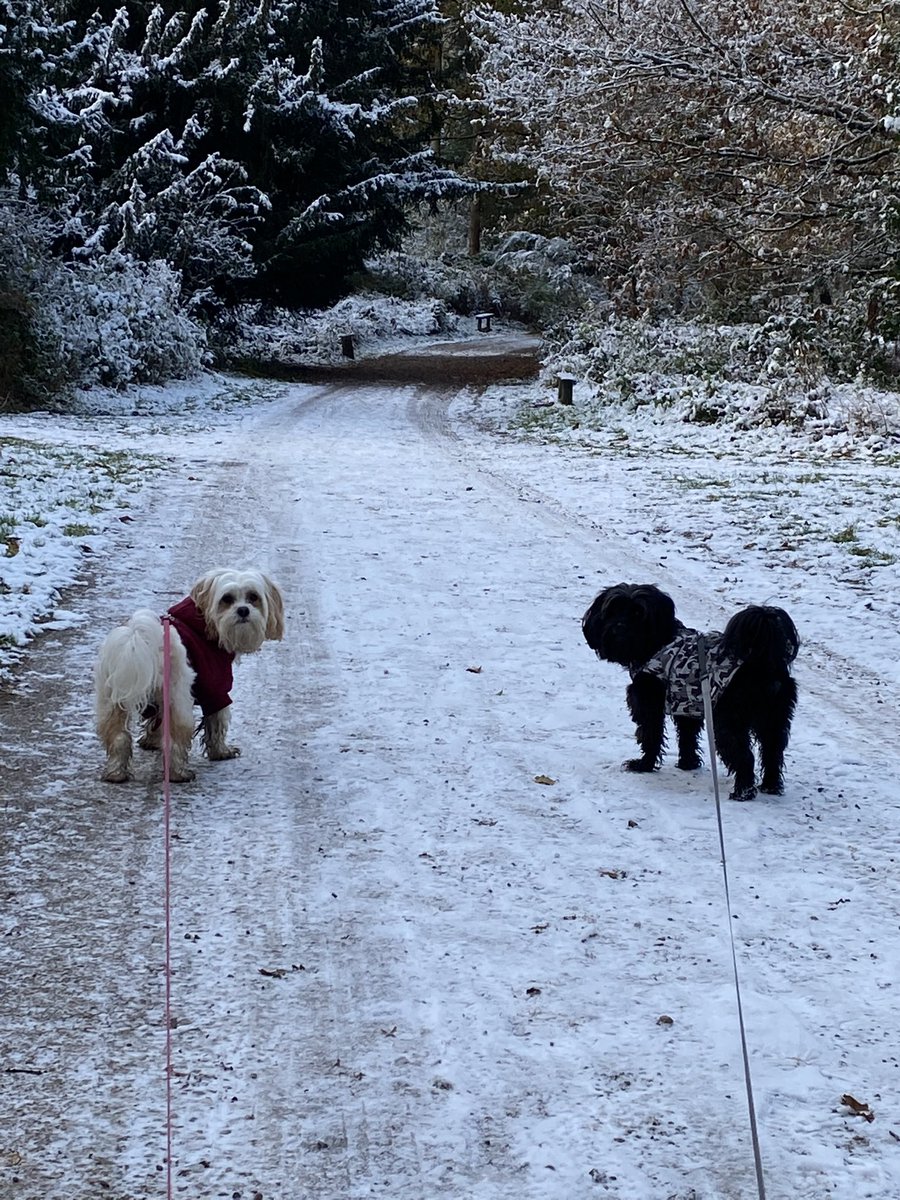 Helen Clarke tweet media