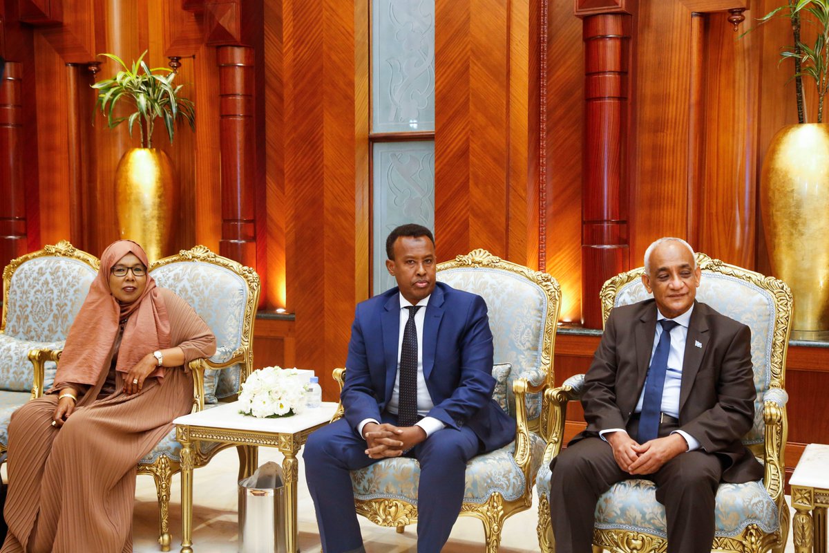 Somali president says “I love football” and invites SFF boss to be part of his delegation to Qatar for FIFA Arab Cup opening
somsoccer.so/english/articl…