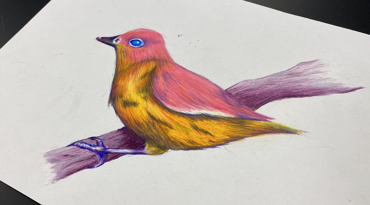 Aaron Cottrell tweet media