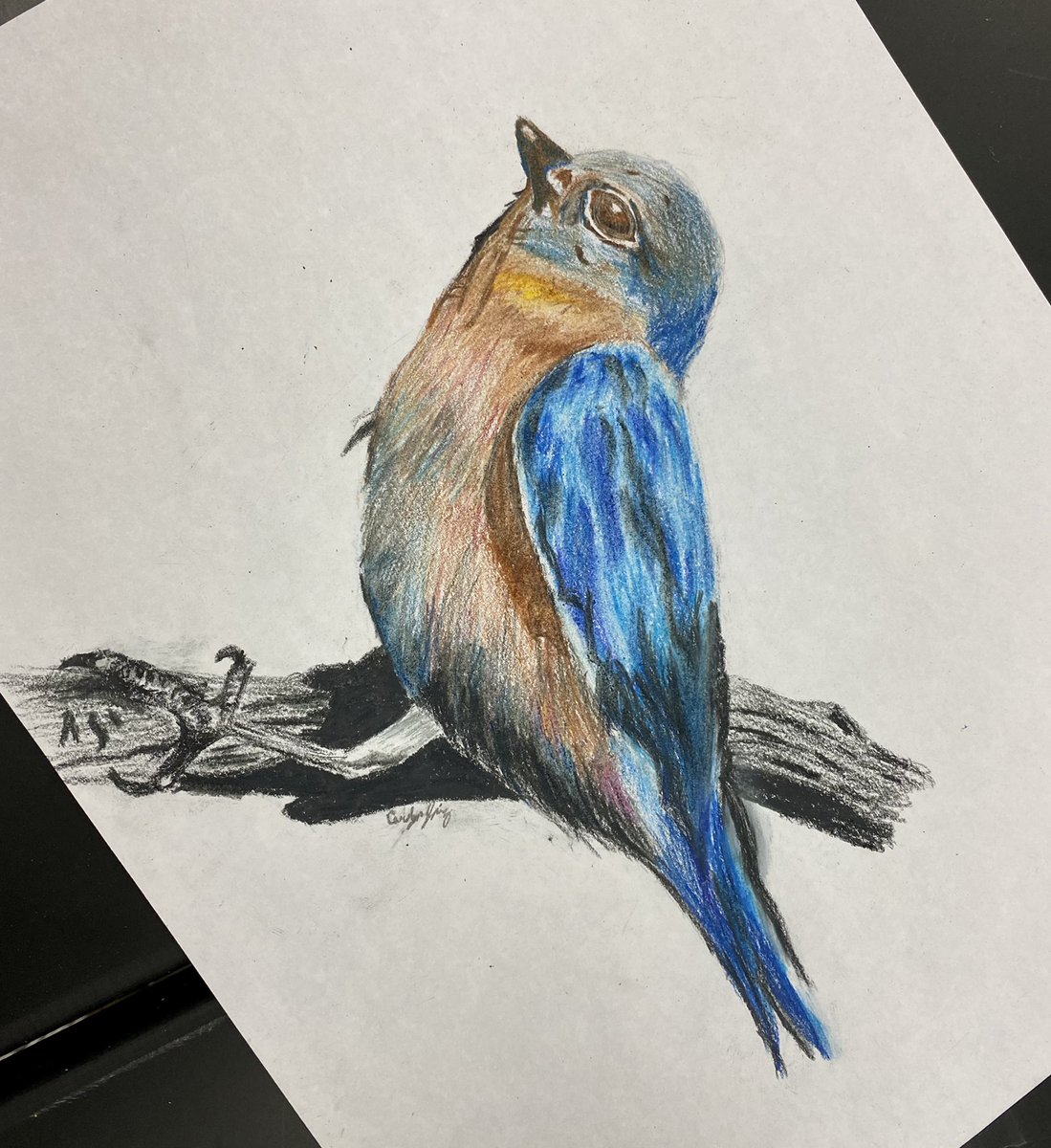 Aaron Cottrell tweet media