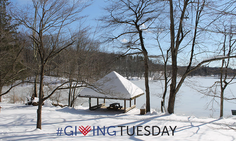 Every $30 donated to Teatown this #GivingTuesday gives future generations a chance to make their own favorite memories at our preserve. Without your support, our work would not be possible. Thank you.

You can make a donation here: paypal.com/donate/?hosted…