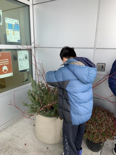 FredVarley's tweet photo. Mr. Leung's class worked together to bring a festive feel to our front entry planters. Nice work grade 7 and 8 students! https://t.co/kbSPgfOyTj