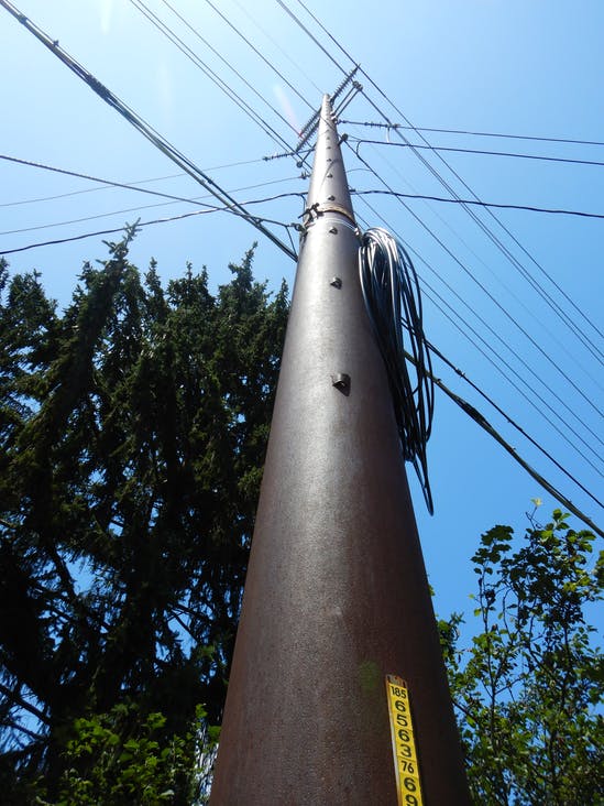 TechProductsInc's tweet photo. Giving Old Steel Poles New Life https://t.co/110qVY3VnR It was great to see this article about rejuninating steel poles and featured our #Everlast #PoleTags. @TechProductsInc sold these to @WvilleElectric in 2001 . The #tags outlast the pole! https://t.co/sfjocqsuYN